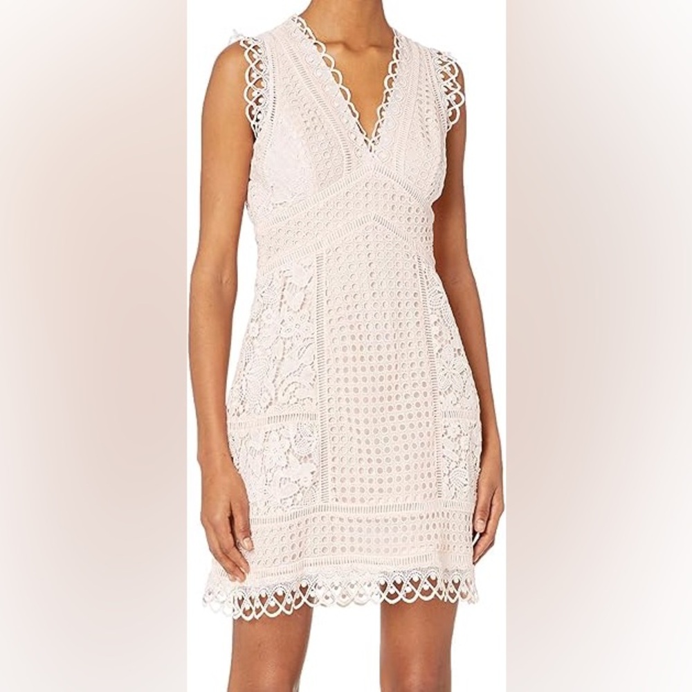 French Connection Cottagecore Blush Lace Mini Dress